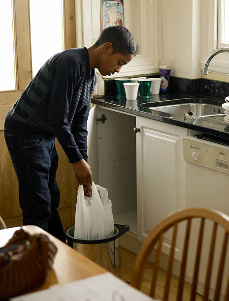 Attic Cleanout Services in Mason, MI